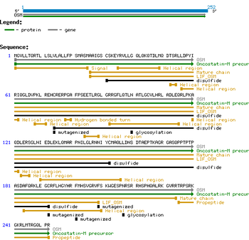 Human Oncostatin-M protein