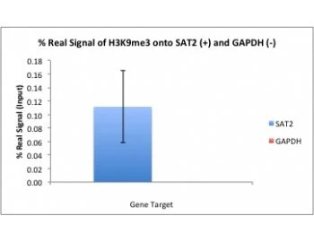 Histone H3 (tri methyl K9) Monoclonal Antibody