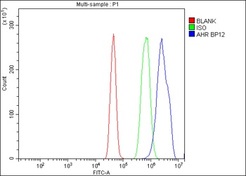 Aryl hydrocarbon Receptor/AHR Rabbit Polyclonal Antibody