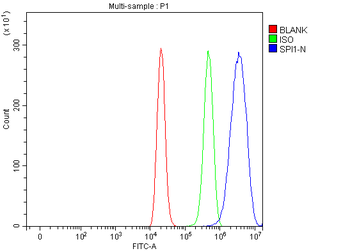 PU.1/SPI1/PU Rabbit Polyclonal Antibody