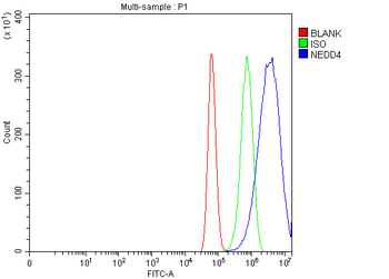 NEDD4 Rabbit Polyclonal Antibody