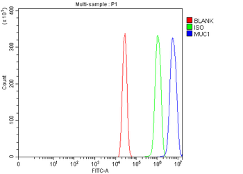 MUC1 Rabbit Polyclonal Antibody