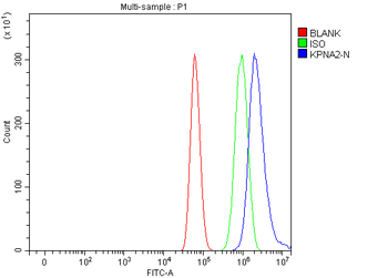 KPNA2 Rabbit Polyclonal Antibody