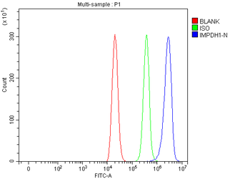 IMPDH1 Rabbit Polyclonal Antibody