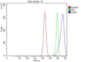 Gastrin/GAST Rabbit Polyclonal Antibody