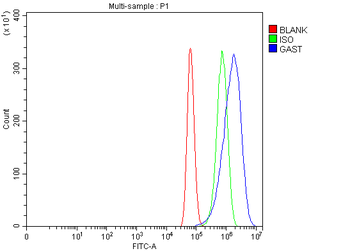 Gastrin/GAST Rabbit Polyclonal Antibody