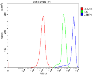 G3BP/G3BP1 Rabbit Polyclonal Antibody