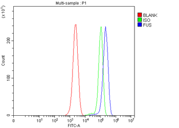TLS/FUS Rabbit Polyclonal Antibody