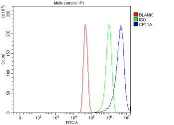 CPT1A Rabbit Polyclonal Antibody