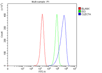 Dectin-1/Clec7a Rabbit Polyclonal Antibody