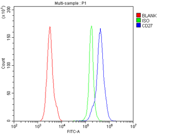 Cd27 Rabbit Polyclonal Antibody