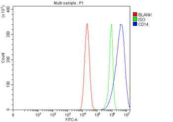 CD14 Rabbit Polyclonal Antibody
