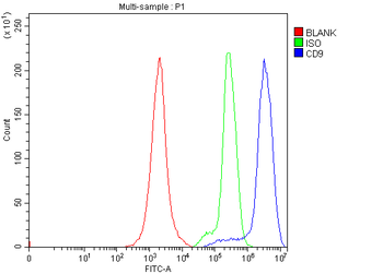 CD9 Rabbit Polyclonal Antibody