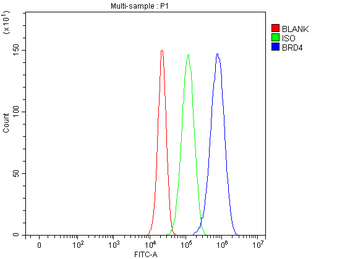 BRD4 Rabbit Polyclonal Antibody