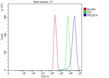 RPL32 Rabbit Polyclonal Antibody
