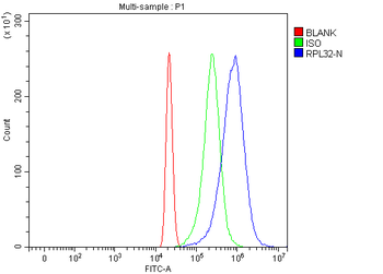 RPL32 Rabbit Polyclonal Antibody
