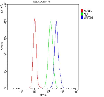 MEK1/MAP2K1 Rabbit Polyclonal Antibody