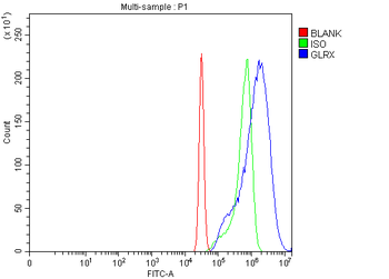 Glutaredoxin 1/GLRX Rabbit Polyclonal Antibody
