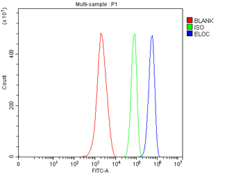Elongin-C/ELOC Rabbit Polyclonal Antibody
