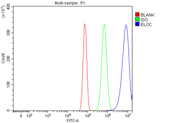 Elongin-C/ELOC Rabbit Polyclonal Antibody