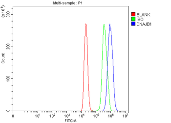 Hsp40/DNAJB1 Rabbit Polyclonal Antibody