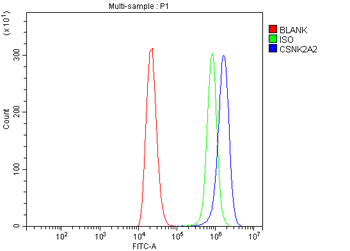CSNK2A2 Rabbit Polyclonal Antibody