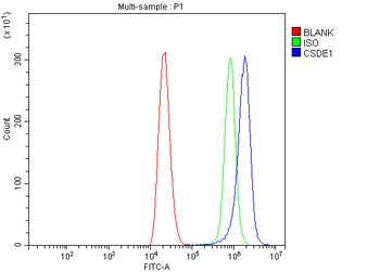 CSDE1/NRU Rabbit Polyclonal Antibody