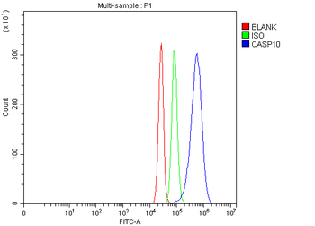 Caspase-10/CASP10/10 Rabbit Polyclonal Antibody