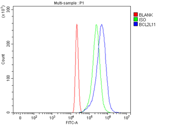 Bim/BCL2L11 Rabbit Polyclonal Antibody