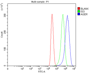 RAGE/AGER Rabbit Polyclonal Antibody