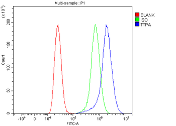 TTPA/TPP1 Rabbit Polyclonal Antibody