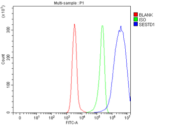 Solo/SESTD1 Rabbit Polyclonal Antibody