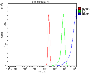 PRMT3 Rabbit Polyclonal Antibody