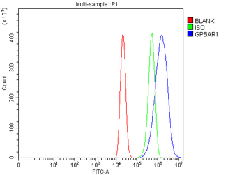 GPCR TGR5/GPBAR1 Rabbit Polyclonal Antibody