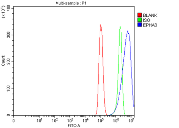 Eph receptor A3/EPHA3 Rabbit Polyclonal Antibody