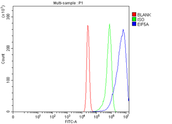EIF5A Rabbit Polyclonal Antibody
