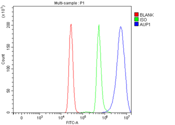 AUP1 Rabbit Polyclonal Antibody