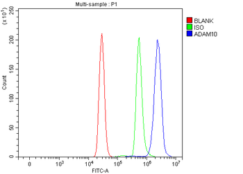 ADAM10 Rabbit Polyclonal Antibody