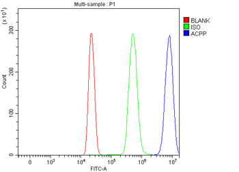 PAP/ACP3 Rabbit Polyclonal Antibody