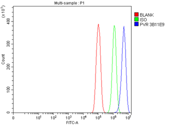 Poliovirus Receptor/PVR Mouse Monoclonal Antibody