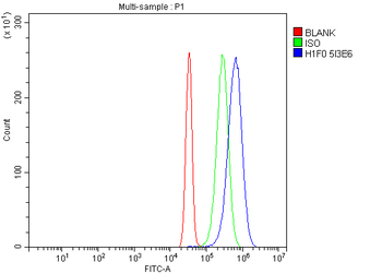 Histone H1.0/H1F0/H1 Mouse Monoclonal Antibody