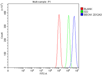 Beclin 1 Mouse Monoclonal Antibody