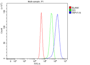 TRPV1 Rabbit Polyclonal Antibody