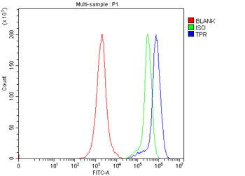 TPR Rabbit Polyclonal Antibody