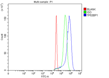 53BP1/TP53BP1 Rabbit Polyclonal Antibody