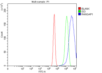 RANGAP1 Rabbit Polyclonal Antibody