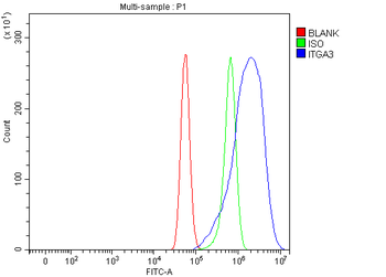 Integrin alpha 3/ITGA3 Rabbit Polyclonal Antibody