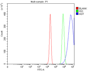 Angiotensinogen/AGT Rabbit Polyclonal Antibody
