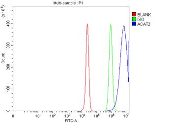 ACAT2 Rabbit Polyclonal Antibody