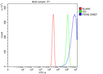 PDIA6 Mouse Monoclonal Antibody